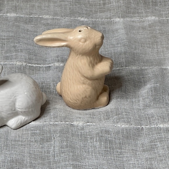 Ankyo Ceramic Bunny Rabbit Salt & Pepper Shakers Neutrals NWOT 3.5" & 4.25" Tall - Picture 3 of 13